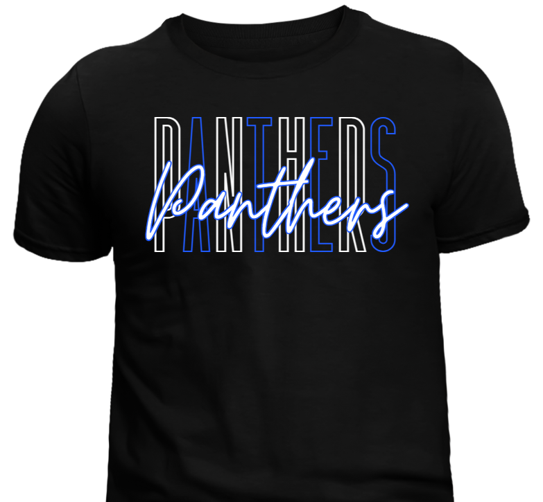 Panthers School Spirit #1