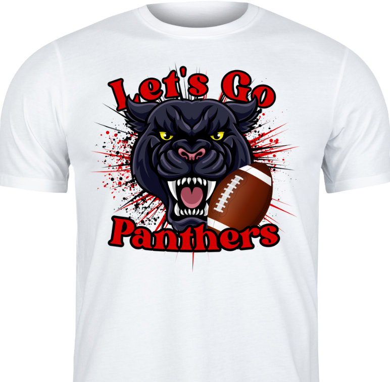 Panthers Football 🏈